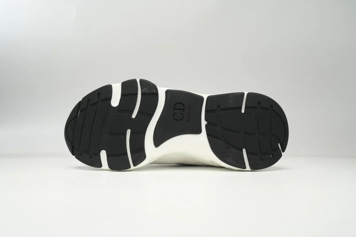 DIOR B22 WHITE SILVER